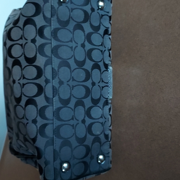 Coach Signature Stripe Python - Picture 7 of 13